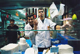 Продавачи на сирене в Истанбул ; Коментари:8