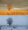 Seasons ; comments:21