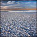Laguna Tebinquinche, Salar de Atacama, Chile ; comments:48