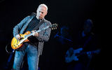 Mark Knopfler ; Коментари:16