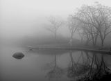 The soul in a fog ; comments:14