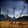 Torres del Paine, Patagonia, Chile ; comments:27