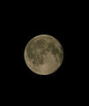 Full Moon ; Коментари:1