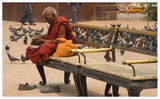 Непал - монах ; comments:27