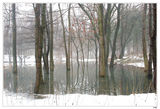 Зиме на "Жабешкото езеро" ; comments:24