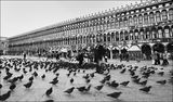 Venezia, San Marco ; comments:26