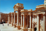 Palmyra, Syria ; comments:14
