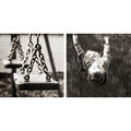 Happy Swings of Childhood ; comments:17