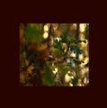 music in fall.adagio ; comments:26