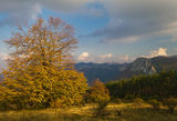 Есен в Балкана ; comments:17