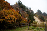 Fog at Hakusan ; comments:1