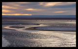 Flamingos in laguna Chaxas, Salar de Atacama, Chile ; comments:24