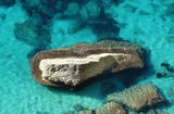 Corsican Waters from the Bonifacio Cliff ; comments:21