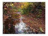 Есенна река ; comments:45