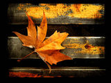 Есенна символика (...във форма и цвят) ; comments:31