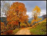 Есен в Родопите ; comments:17