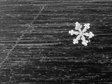 снежинка върху дъската на сноуборда ; comments:10