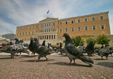 птичи митинг пред Гръцкия парламент против недостатъчните субсидии за земеделието и поскъпването на хляба ; comments:15