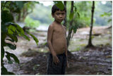 Децата на Амазонка ; comments:25
