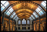 Natural History Museum ; comments:18