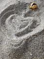 Пясъчно - влюбено с калинка ; comments:5