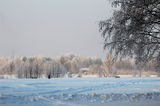 Winter impression by the Baltic sea ; comments:18