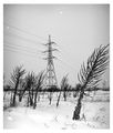 winter landscape ; comments:11
