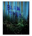 Blue Power ; comments:8