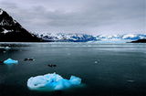 Hubbard Glacier/Glacier Bay, Alaska/2008 ; comments:24