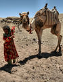 ...за общото между магаретата и една камила... ; comments:4