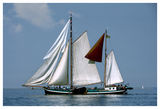 Dutch sailing barge ; comments:8