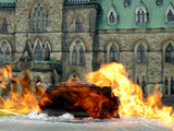 Ottawa Parliament ; comments:22