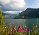 Sognefjord, Norway ; comments:15