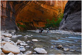 Hiking the Virgin river ; comments:21