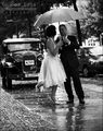 wet wedding ; comments:18