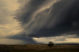 Буря над Шкорпиловци ; comments:146