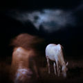 нощем, с белите коне ; comments:39