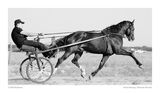 Manole horse racing 08_09 ; comments:12