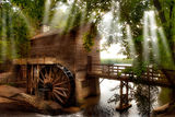 Old Mill ; comments:21