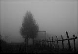Есенна мъгла ; comments:15