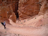 Navajo Loop Trail ; comments:16