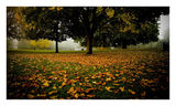 Autumn ; comments:11