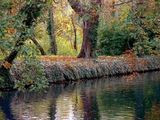 Есен в парка ; comments:9