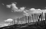 fencing clouds ; comments:10
