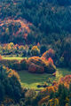 Есен в Родопите ; comments:44
