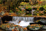 Есенна импресия на една река IV ; comments:30