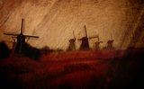 Browny Windmills ; comments:16