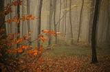 Есенна гора III ; comments:28