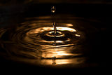 water drop ; comments:12