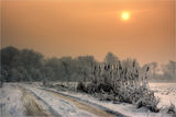 Зимни мъгли галят нежно дърветата, с тънък скреж украсяват тръстиките... и самотния път се сбогува със слънцето... ; comments:27